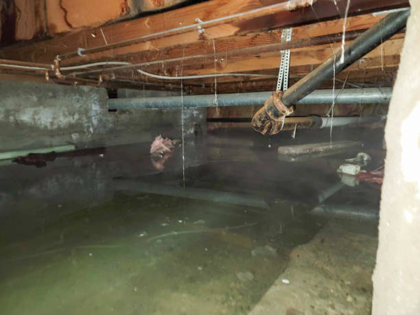 Best Water damage restoration near me  in Oildale, CA