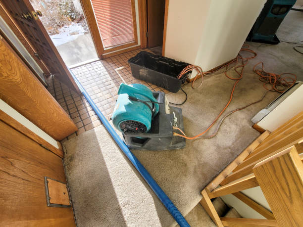 Best Sewage cleanup and water damage restoration  in Oildale, CA