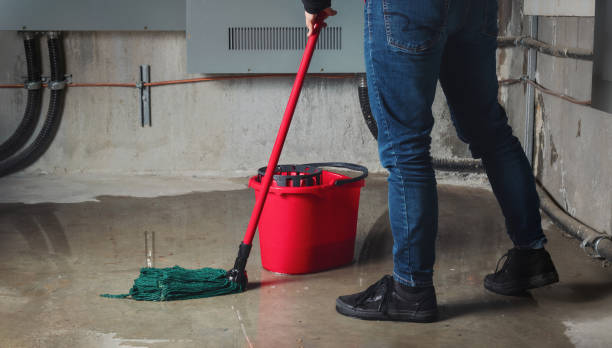 Best Water damage cleanup near me  in Oildale, CA