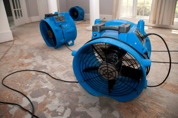 Best Local water damage restoration  in Oildale, CA