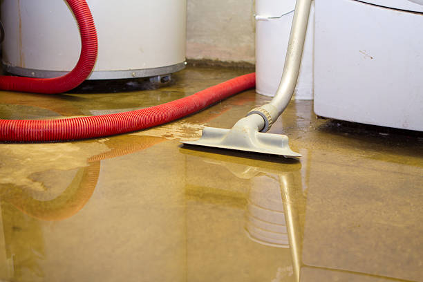 Best Carpet water damage restoration  in Oildale, CA