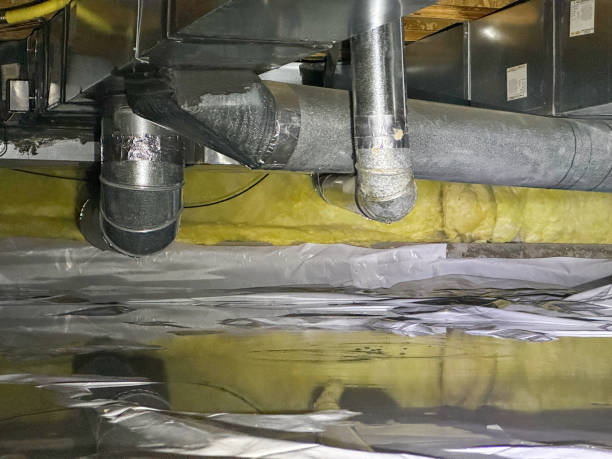 Best Flood damage cleanup  in Oildale, CA