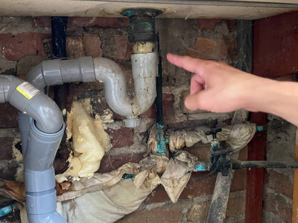 Best Residential water damage restoration  in Oildale, CA