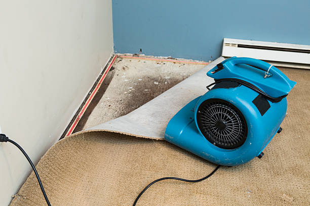  Oildale, CA Water damage restoration Pros